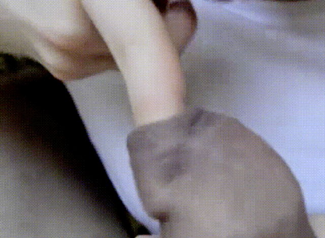 Щекочет язычком и пальцем залупу, член кончает в рот девушке в маске