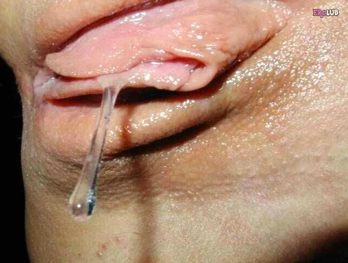 женские влагалища с большими половыми губами - фото